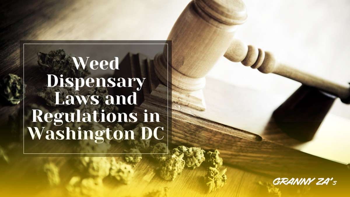 Weed Dispensary Laws and Regulations in Washington DC