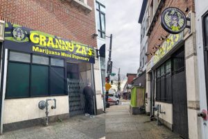 Licensed Medical Dispensaries